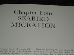 Ocean Birds Lars Lofgren 1984 HC/DJ 1st Edition Orinthology SEABIRDS Textbook