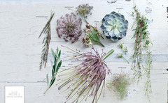 The Flower Recipe Book: 100 Magical, Sculptural, Seasonal Arrangements