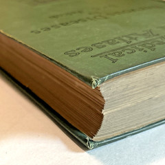 Atlas of Normal and Pathological Nervous Systems ~ 1896 ~ C. Jakob ~ Color Illus