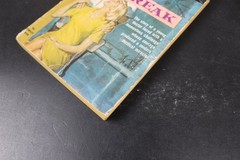 Daybreak Frank G. Slaughter 1959 Permabook 1st Printing Medical Drama Vintage PB