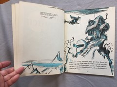Space Witch By Don Freeman Softcover Book 1973 Children Halloween Simon Schuster