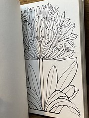 1978 Vintage Ruth Heller DESIGNS FOR COLORING 5 Book NEW Unused All Clean Pages