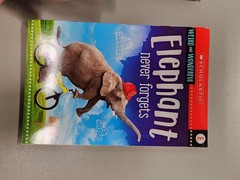 Animal Antics First Grade Reader Box Set: Scholastic Box or Slipcased