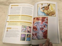 Pokemon Trading Card Game Illustration Collection Art Book (2016 Paperback)