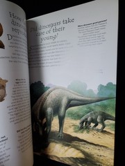 Books Are Fun Lot of 5 Animal & Dinosaur Question Answer Books Kids Educational