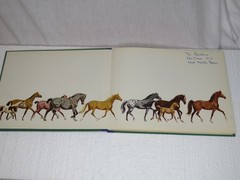 Horse Lithographs Prints Around the World with Horses Book Sam Savitt 1962 HC