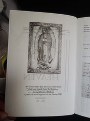 Book of Heaven – El Libro del Cielo | Luisa Piccarreta | Volúmenes 1–36 | Edició