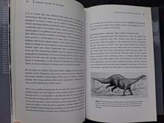 Fossils: The Key to the Past, hardcover book, by Richard Fortey