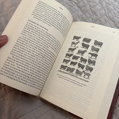 Fabric : The Hidden History of the Material World by Victoria Finlay (2022,…