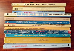 Lot of 12 Vintage Scholastic Dell Kids Pre-teen Teens Chapter Books for Boys PB