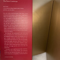 The Fauve Landscape (First Edition)