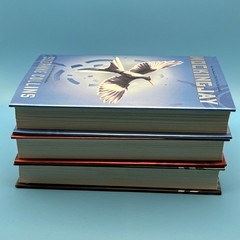 Hunger Games Trilogy Boxed Set Set by Suzanne Collins (2010, Box or Slipcased)
