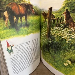 1st/1st Ed Secrets of the Gnomes Wil Huygen & Rien Poortvliet 1982 HCDJ Book