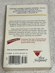 Steeple Hill Love Inspired Series Lot 4 Paperback Books