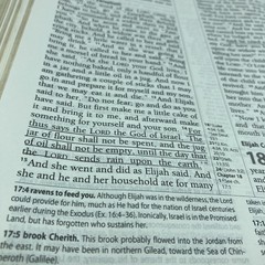 The Reformation Study Bible ESV English Standard Version Ligonier Ministries