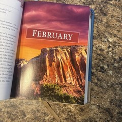David Jeremiah Leather Bound- Moments W/ God, Strength for Today &