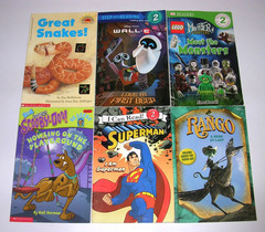 Random Lot 20 LEVEL 2 BOYS I Can Read, Step Into Reading, DK Readers Books