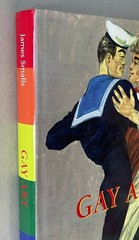 Gay Art (Magnus Series) / James Smalls / Sirrocco HC