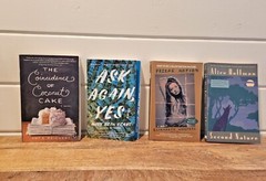 Lot of 8 Paperback Novels/Memoir different authors