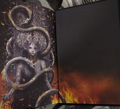 💝 House of Flame and Shadow Crescent City – Sarah J. Maas 1st Edition AS SHOWN