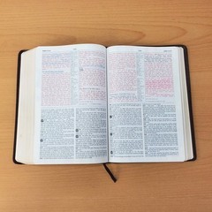 Zondervan The NIV Study Bible 10th Anniversary Edition 1995 Red Letter, Leather