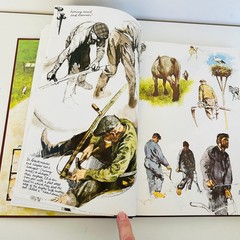 The Farm Book by Rien Poortvliet HCDJ Illustrated Animals Farm Life 1997