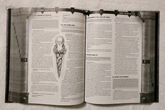 The World’s Largest Dungeon NO MAP 840 Pages NO MAP Jim Pinto Dungeons & Dragons