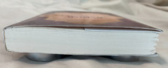 Secrets of the Proverbs 31 Woman: Fresh Perspectives on Biblical Wisdom