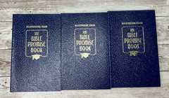 Lot of 15 Christian Bibles Jesus Related Books/ Booklets Vintage 4lbs