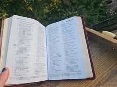 OOP HCSB Pocket-Size Bible Burgundy Bonded Leather with original box & magnifier