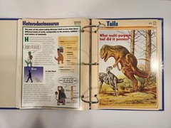 Dinosaur Cards By Newfield Publication 1994. 3 Ring Binder and 83 Pages/Inserts