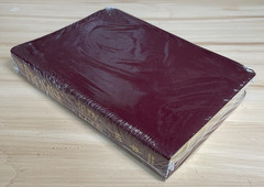 The Promise Holy Bible Study Edition 3595BG CEV Burgandy Bonded Leather New