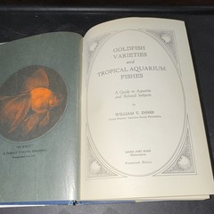 William T. Innes – Goldfish Varieties & Tropical Aquarium Fishes – 1931