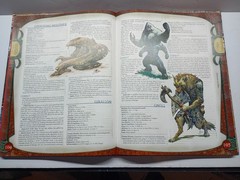 D&D 3.5 Player’s Handbook & Monster Manual -First Prints + Quintessential Druid