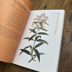Herbal Handbook Recipes Tinctures Teas Balms And More New York Botanical Garden