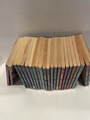 Lot Of 23 Vintage Goosebumps Books. Many First Prints. RL Stine