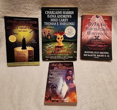 Mixed Set Of 4 Paranormal And Supernatural Books – Used Great Condition HC PB