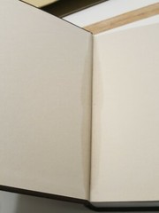 As I See It by Greg Gorman (Hardcover) Signed READ ALL