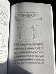 Handbook of Horse-Shoeing, with Introductory Chapters on the Anatomy and…