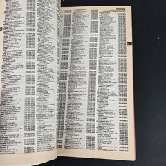 Detroit Downriver Area-Wide Telephone Directory 1998-99 TDI Talking Phone Book