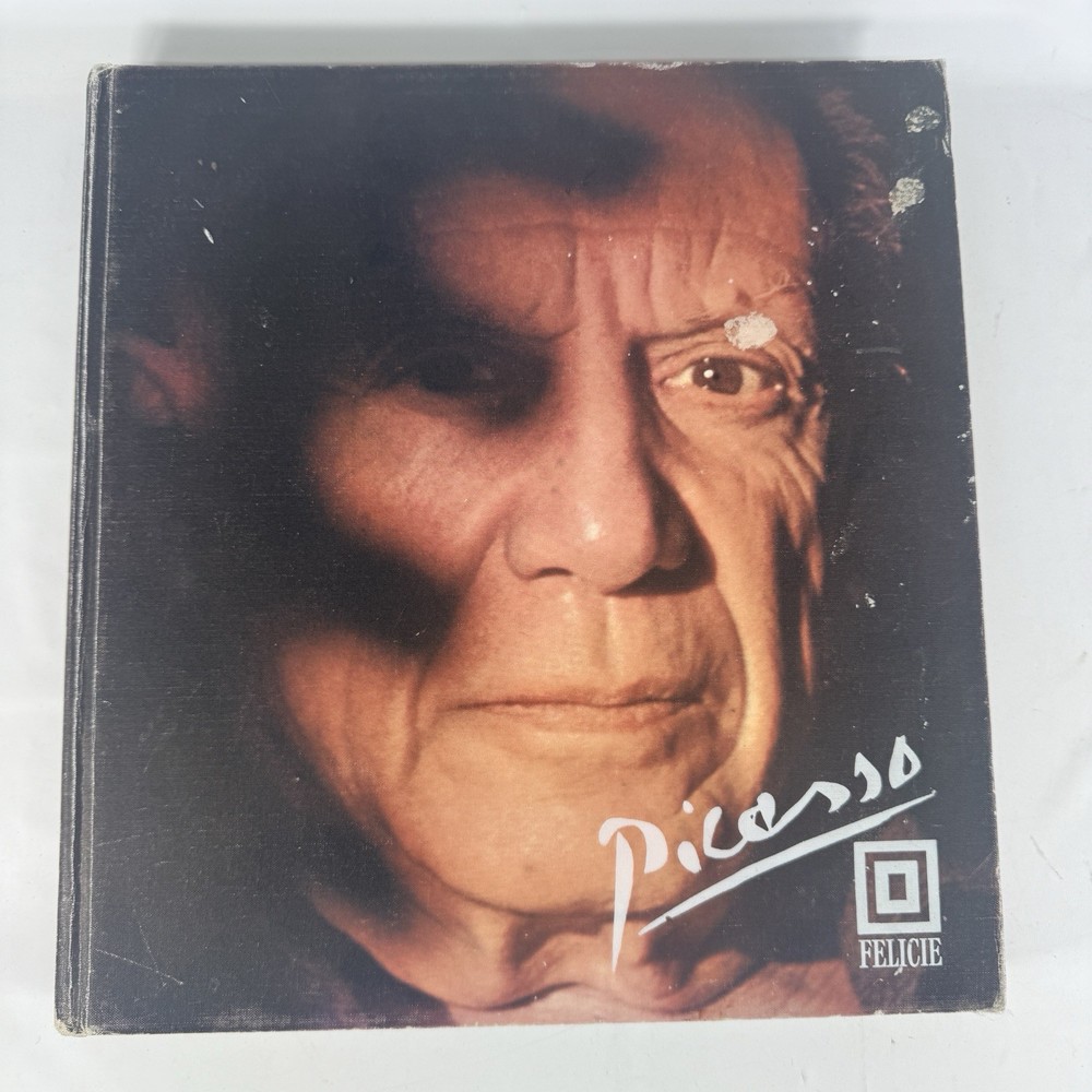 PICASSO Pierre Descargues Felicie Draeger Vintage 1974 Hardcover 276 Pages