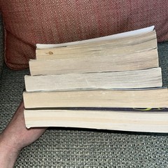 The New Prophecy Warriors Erin Hunter Paperback Volumes 1-4, 6 Lot, Set, 2006