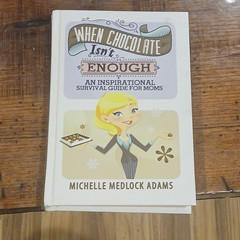 Worthy Publishing Group When Chocolate Isn’t Enough Michelle Medlock Adams Hard…