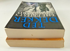 Ted Dekker Lot 2 Books Thr3e & The Priest’s Graveyard Christian Thriller