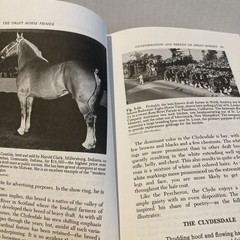 The Draft Horse Primer by Maurice Tellen 1977 Paperback 392 Pages