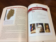 A QUICK GUIDED TOUR THROUGH THE BIBLE: EXPERIENCE THE By Stephen M. Miller PB VG