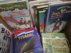 Bulk Huge Lot of 25 Children Kids Chapter Books Random Selection FREE SHIPPING