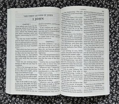 New Testament, Psalms, Gideons Bible, Thinking Of You, 2016, Brand New, PB