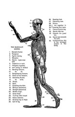 1891 The Practical Physician And Home Apothecary 318 Pages