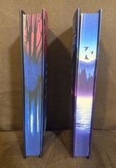 Jennifer L Armentrout Obsidian & Onyx Deluxe HC Set 1st Print DJ Sprayed Edges